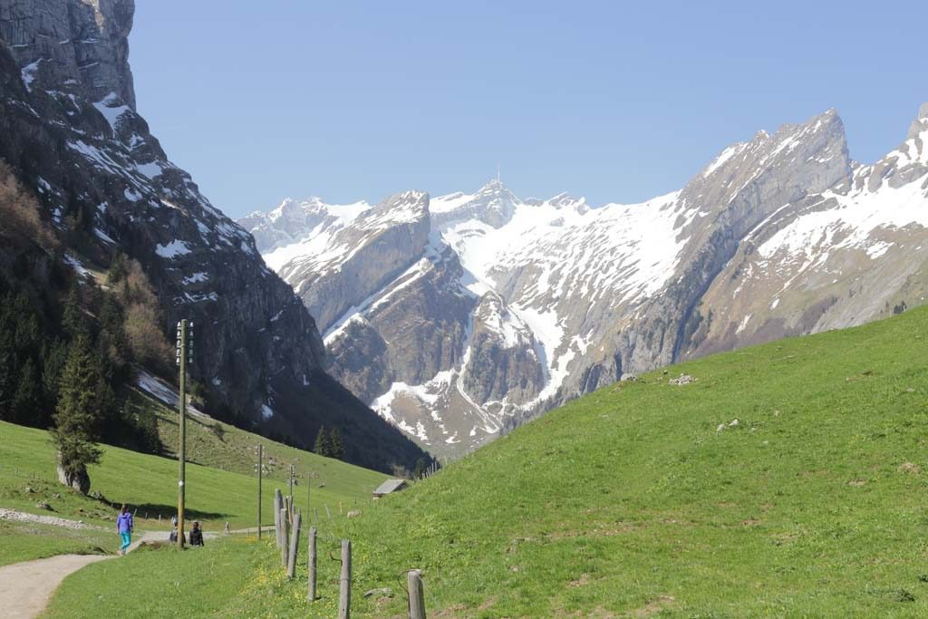 Säntis in the background - foreground hiking trail with green meadow Säntis in the background - foreground hiking trail with green meadow