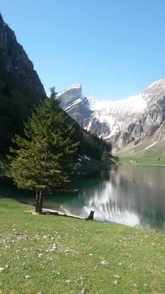 Seealpsee mit Säntis Seealpsee mit Säntis